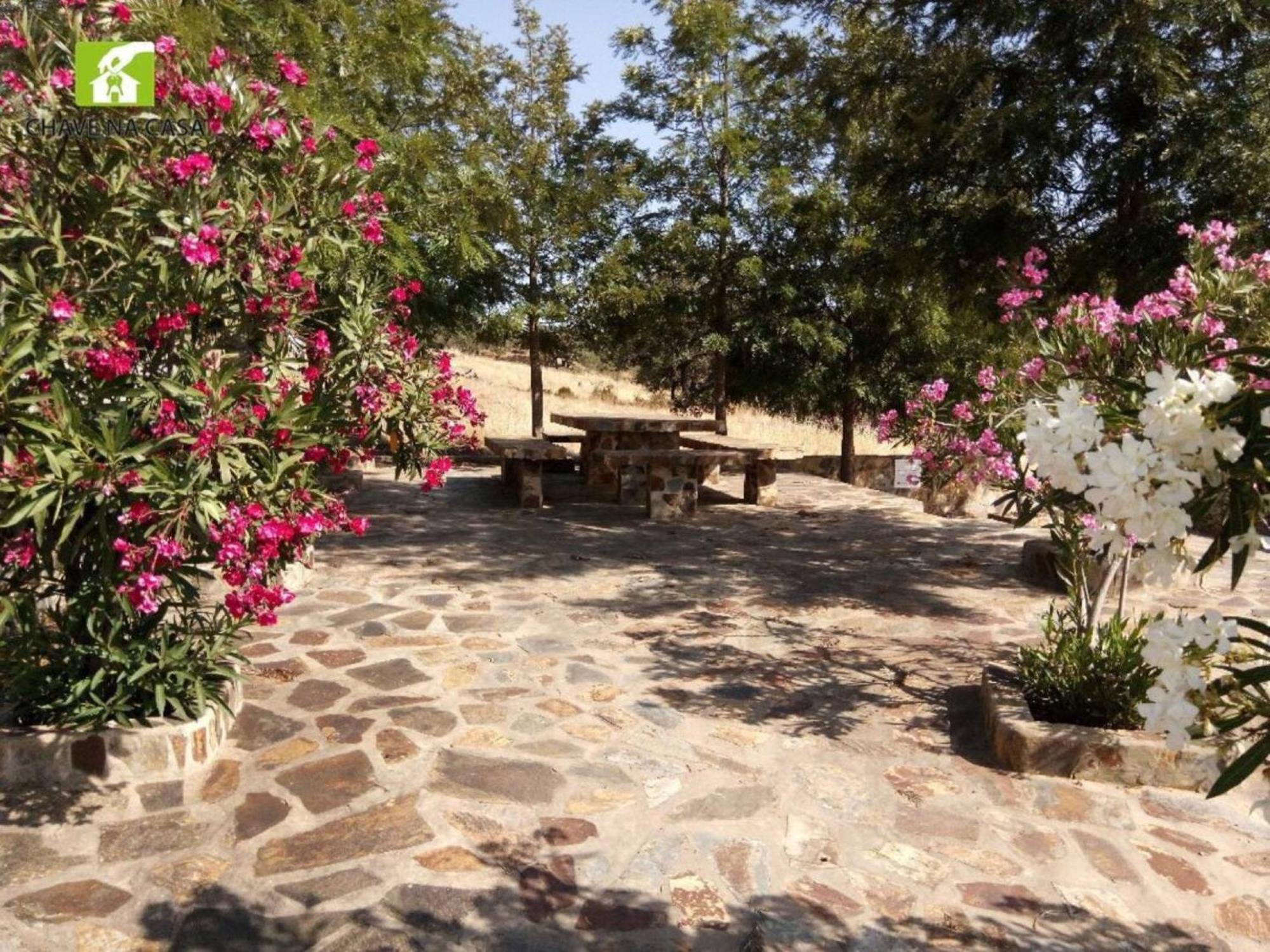 Casa Das Bonecas Farelos de Baixo Екстер'єр фото